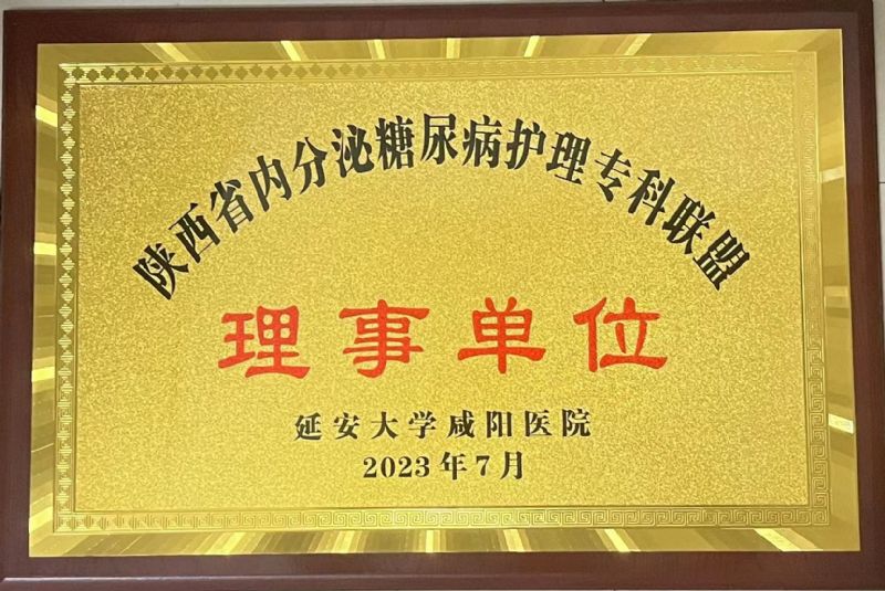 陜西省內(nèi)分泌糖尿病護(hù)理?？坡?lián)盟理事單位