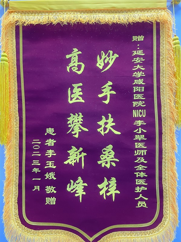 神經(jīng)重癥監(jiān)護NICU錦旗